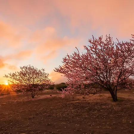Casa La Cañada Сasa de vacaciones *