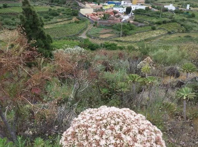 度假居 Casa La Canada