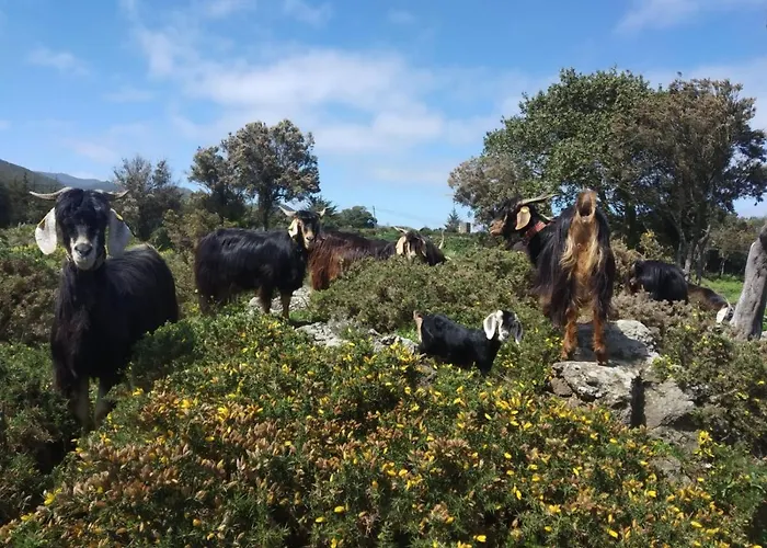 Casa La Canada 度假居 Santiago del Teide
