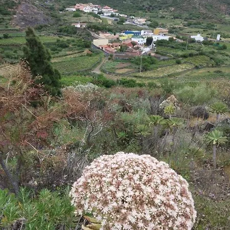 Semesterbostad Casa La Canada