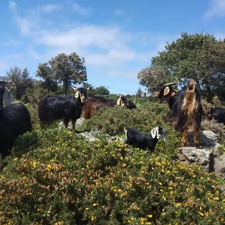 Casa La Canada Semesterbostad Santiago del Teide