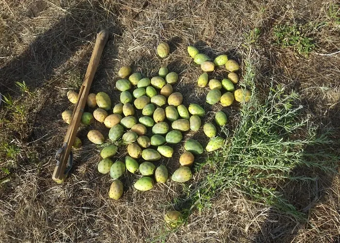 Casa La Canada * サンティアゴ・デル・テイデ