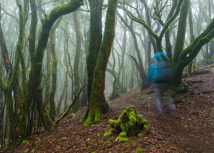 別荘 Casa La Canada サンティアゴ・デル・テイデ