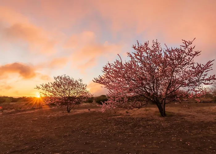 Casa La Canada Semesterbostad *